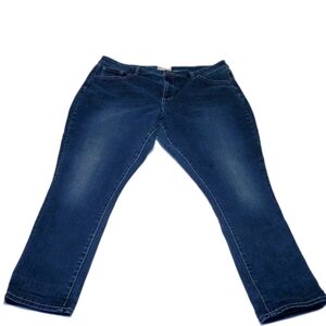 BKE Gabby Skinny Women's Curvy Jeans